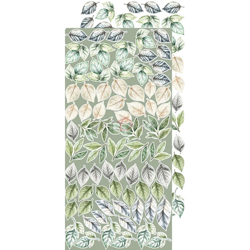 Craft O'Clock – Cherished Memories Extras Set Flowers & More leikekuvat 15 x 30 cm - Image 4