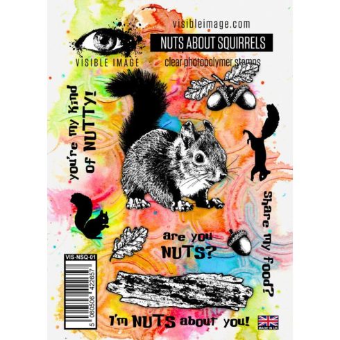 Visible Image – Nuts About Squirrels leimasinsetti A6