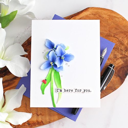 Spellbinders stanssi – SPIDERWORT - Image 2