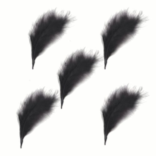 Marabou höyhenet musta (10 kpl)