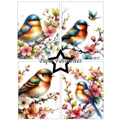 Paper Favourites – Birds and Flowers paperilajitelma A6 2