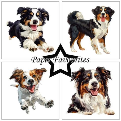 Paper Favourites – Farmdogs paperilajitelma 15 x 15 cm 1