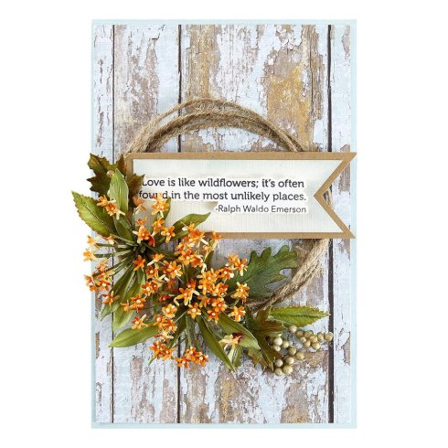 spellbinders milkweed etched dies s4 1392