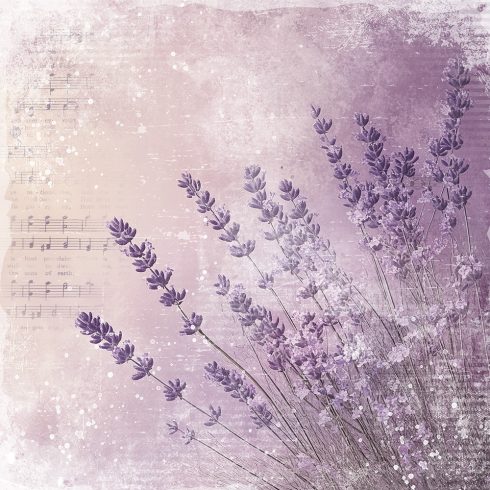 Craft OClock – Heritage Whispers Basic paperilajitelma