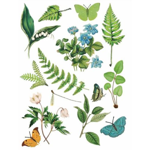 Arden Creative Studio – Laser Cuts Hidden Creek leikekuva-arkit (4 kpl) - Image 3