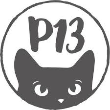 P13 logo