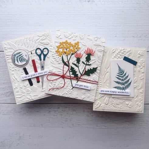 Spellbinders 3D kohokuviointikansio FIELD NOTES1