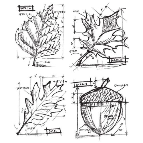 Tim Holtz Stampers Anonymous – Autumn Blueprints leimasinsetti