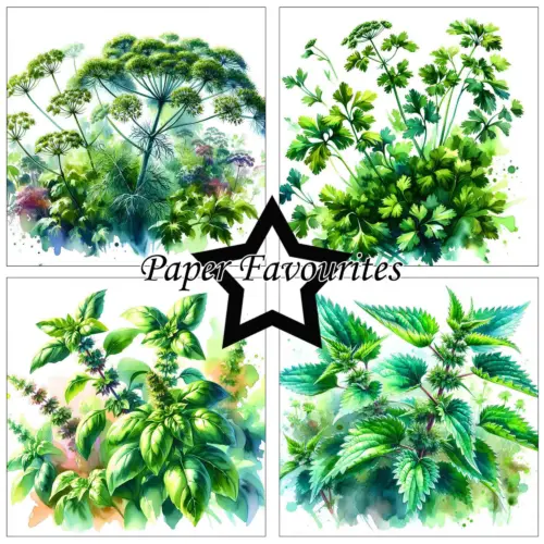 Paper Favourites – Herbs paperilajitelma 15 x 15 cm - Bild 2