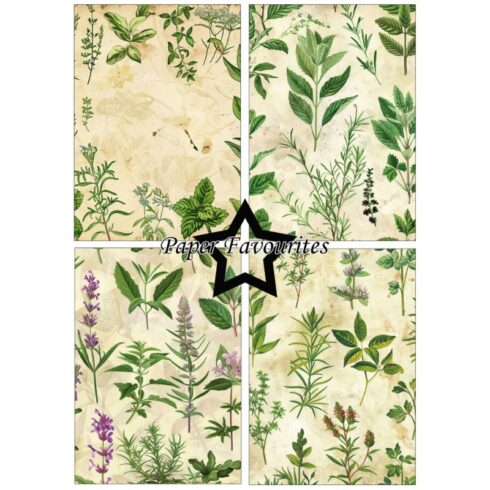 Paper Favourites – Kitchen Herbs paperilajitelma A5 2
