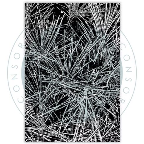 Craft Consortium Clear Stamps – Pine Needles leimasin 4