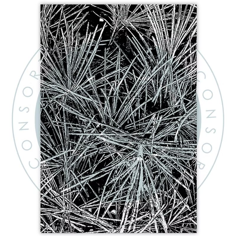 Craft Consortium Clear Stamps – Pine Needles leimasin - Image 5