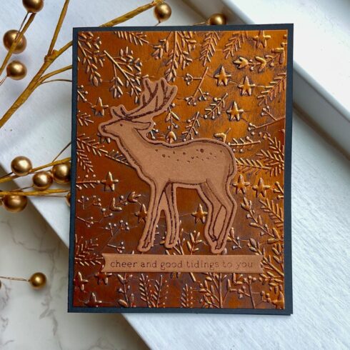 Spellbinders 3D kohokuviointikansio – STARS AND FRONDS FRAME1
