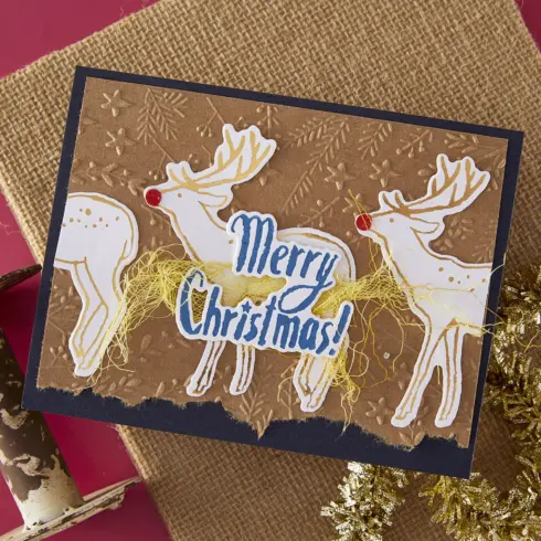 Spellbinders 3D kohokuviointikansio – STARS AND FRONDS FRAME1