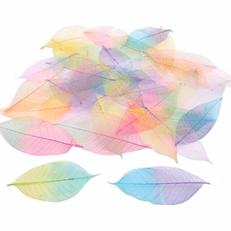 Docrafts Skeleton Leaves Two Tone – luurankolehti pastellivärit (40 kpl)