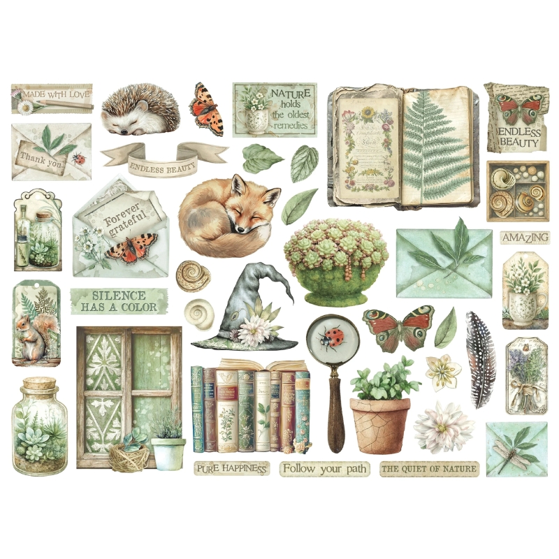 Stamperia – Die Cuts Herbarium Silvae isot kartonkikuvat (40 kpl) - Image 2