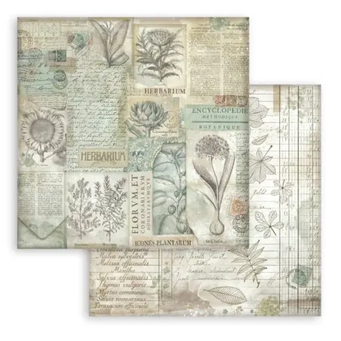 Stamperia Herbarium Silvae Backgrounds paperilajitelma6