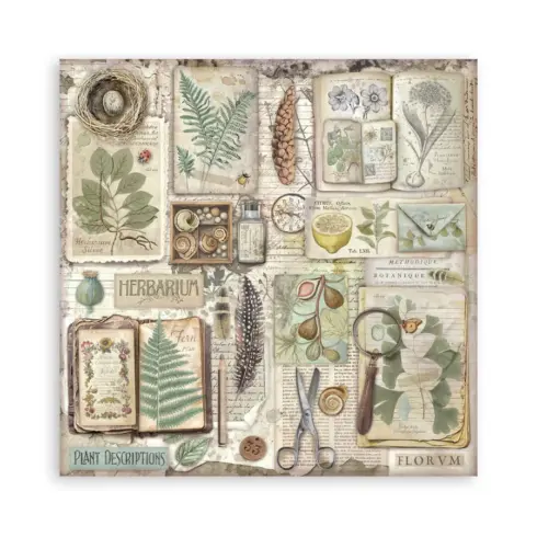 Stamperia Herbarium Silvae Maxi paperilajitelma4