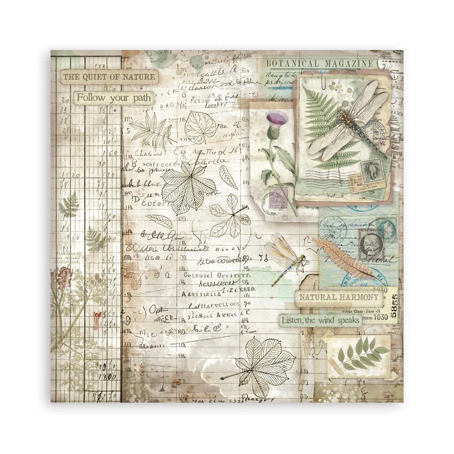 Stamperia – Herbarium Silvae Maxi paperilajitelma 20 x 20 cm - Image 19