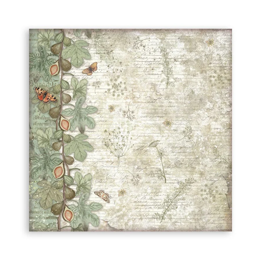 Stamperia – Herbarium Silvae Maxi paperilajitelma 20 x 20 cm - Image 16