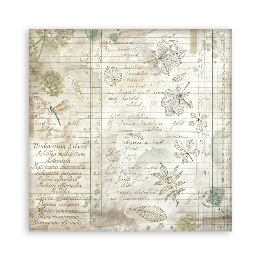 Stamperia – Herbarium Silvae Maxi paperilajitelma 20 x 20 cm - Image 15