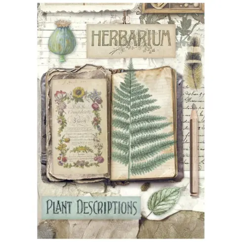 Stamperia Herbarium Silvae Rice Paper riisipaperi6