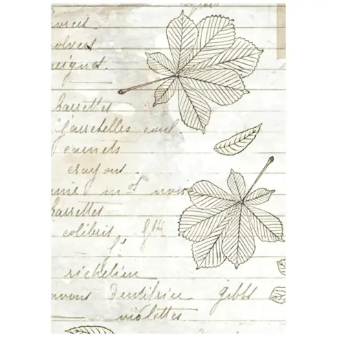 Stamperia Rice Paper Herbarium Silvae Backgrounds riisipaperi2