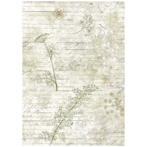 Stamperia Rice Paper Herbarium Silvae Backgrounds riisipaperi3