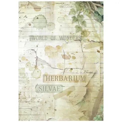 Stamperia Rice Paper Herbarium Silvae Backgrounds riisipaperi7