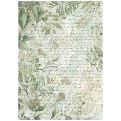 Stamperia Rice Paper Herbarium Silvae Backgrounds riisipaperi8