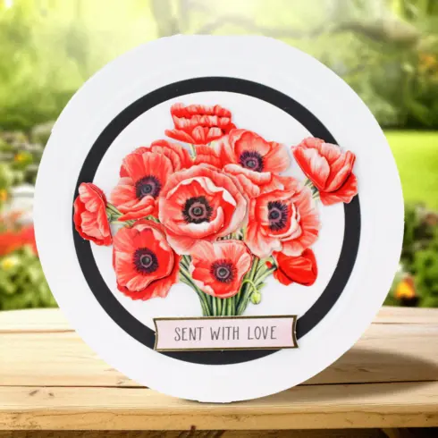 Katy Sue Bumper Bouquets 3D arkit 3