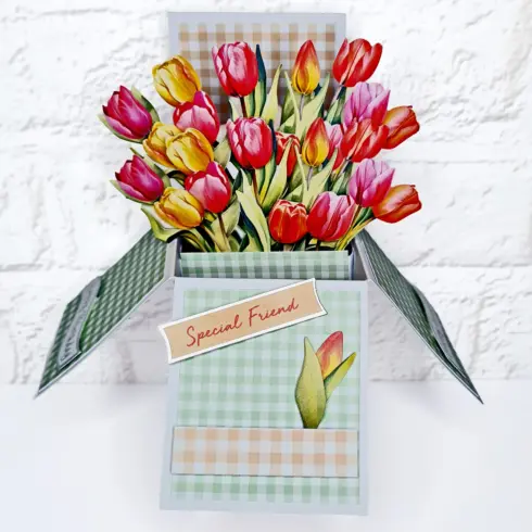 Katy Sue Bumper Bouquets 3D arkit 5