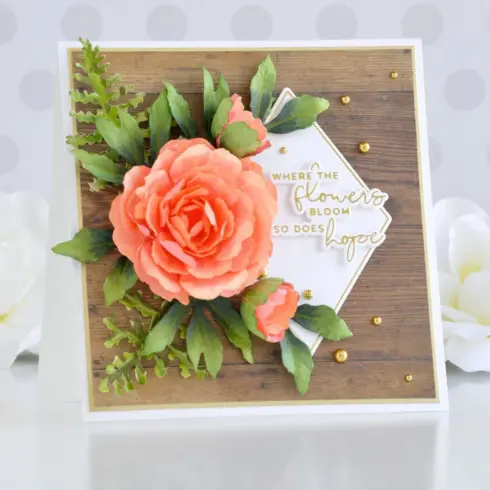 Spellbinders The Poets Garden DOUBLE AND SINGLE PEONIES