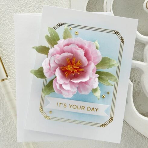 Spellbinders stanssi The Poets Garden DOUBLE AND SINGLE PEONIES 1