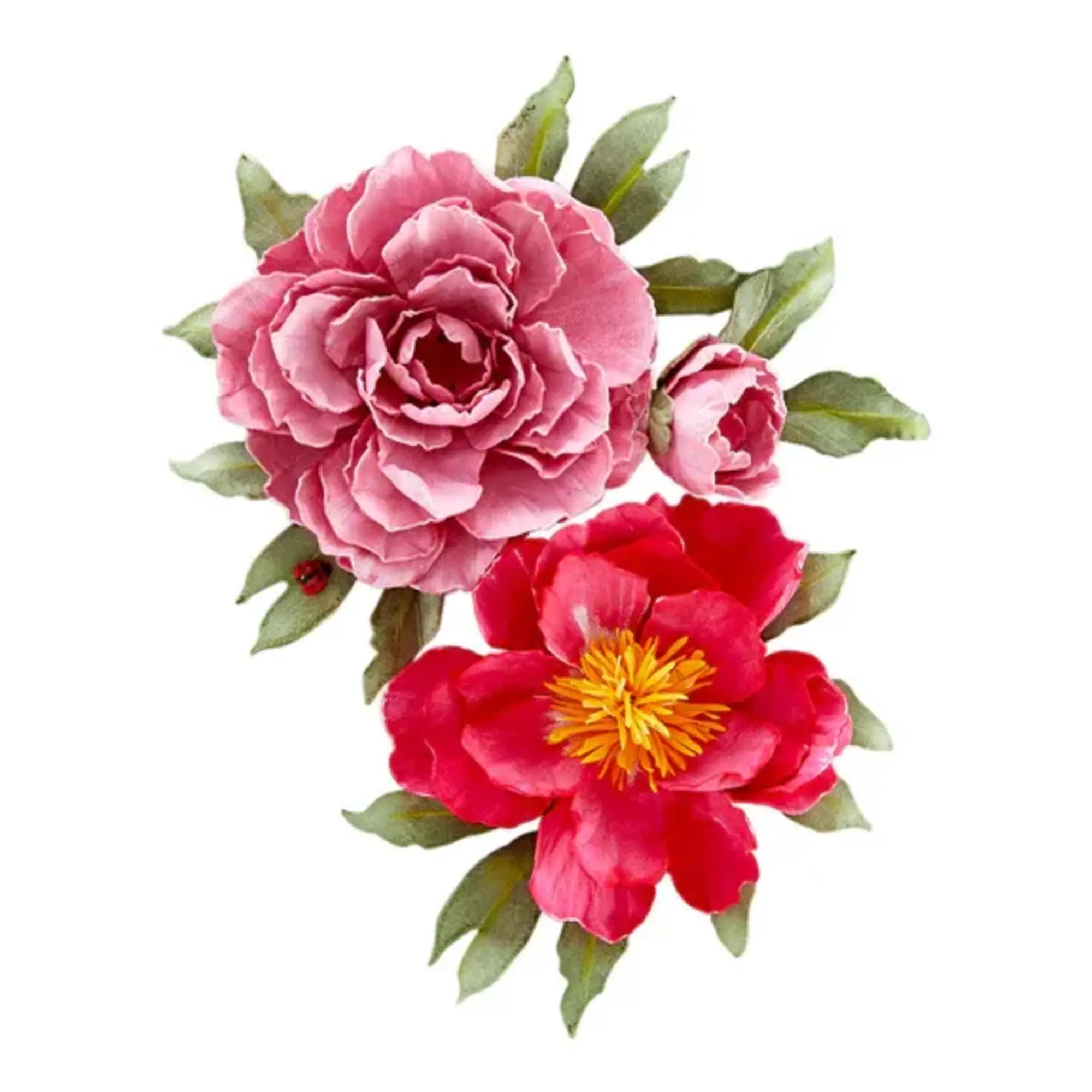 Spellbinders stanssi – The Poet's Garden DOUBLE AND SINGLE PEONIES - Image 8