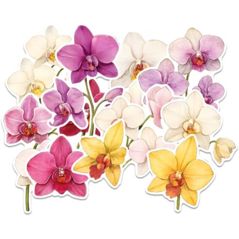 Paper Favourites Die-Cuts – Orchidea leikekuvat (28 kpl)
