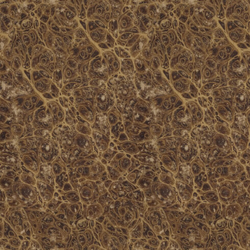 Tim Holtz Idea ology Palette Collection Neutral paperilajitelma10