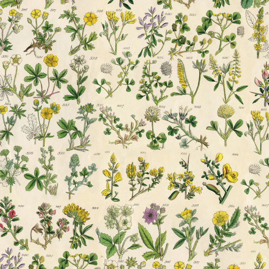 Tim Holtz Idea-ology – Palette Collection Yellow paperilajitelma 30 x 30 cm - Image 4