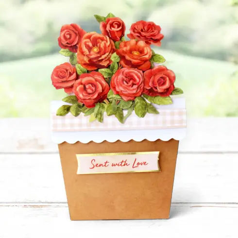 Katy Sue Designs Card Making Kit Flower Patch Pots Korttipakkaus7