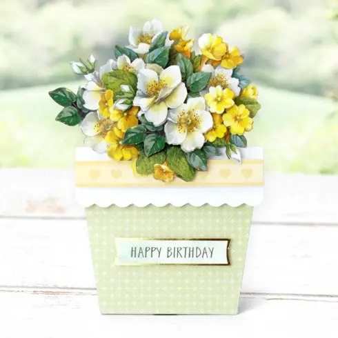 Katy Sue Designs Card Making Kit Flower Patch Pots Korttipakkaus8