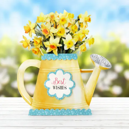 Katy Sue Designs Card Making Kit Watering Can Blossoms Blooms Korttipakkaus3
