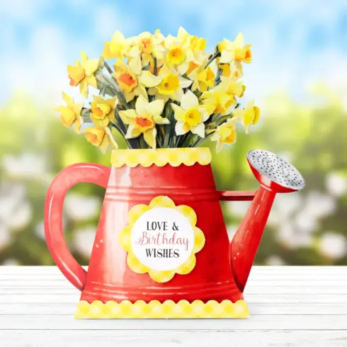 Katy Sue Designs Card Making Kit Watering Can Blossoms Blooms Korttipakkaus6