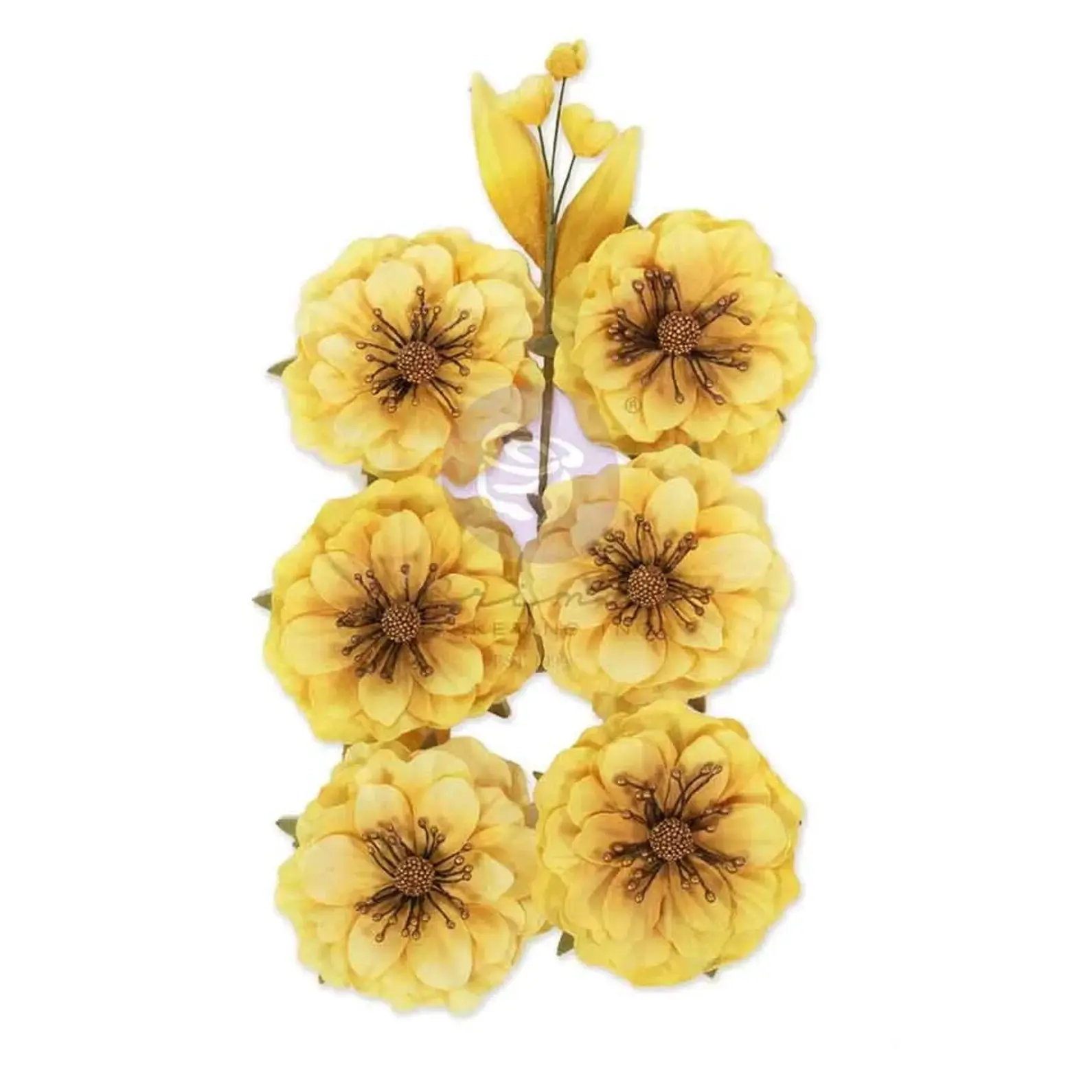 Prima Flowers Among the Wildflowers – Honey Bloom Paperikukat (7kpl)