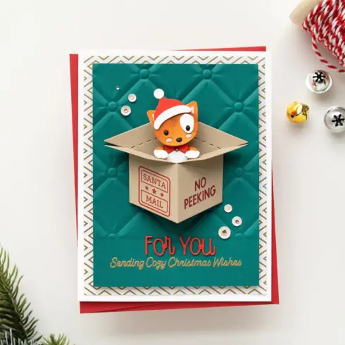 Spellbinders SURPRISE BOX