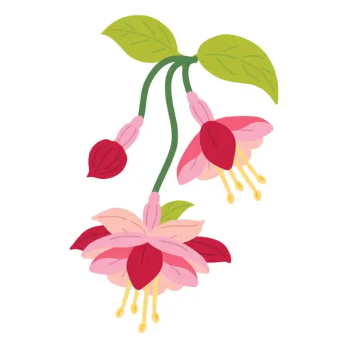 Spellbinders stanssi – MAGICAL FUCHSIA2