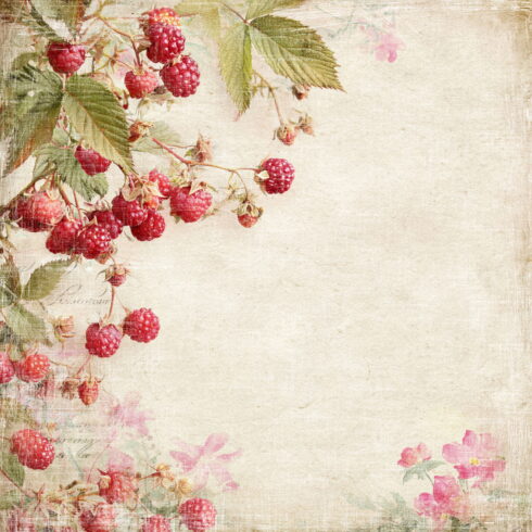 Reprint Summer Garden paperilajitelma5
