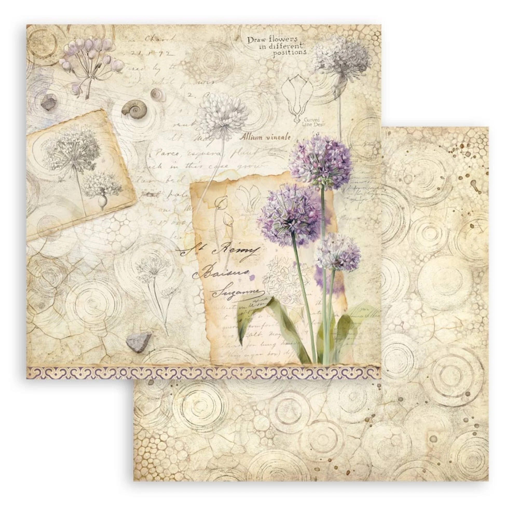 Stamperia – All Around paperilajitelma 30 x 30 cm - Image 6