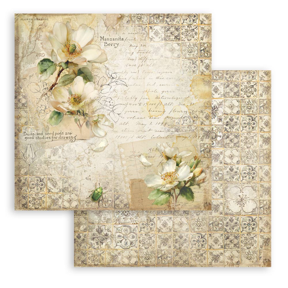 Stamperia – All Around paperilajitelma 30 x 30 cm - Image 3