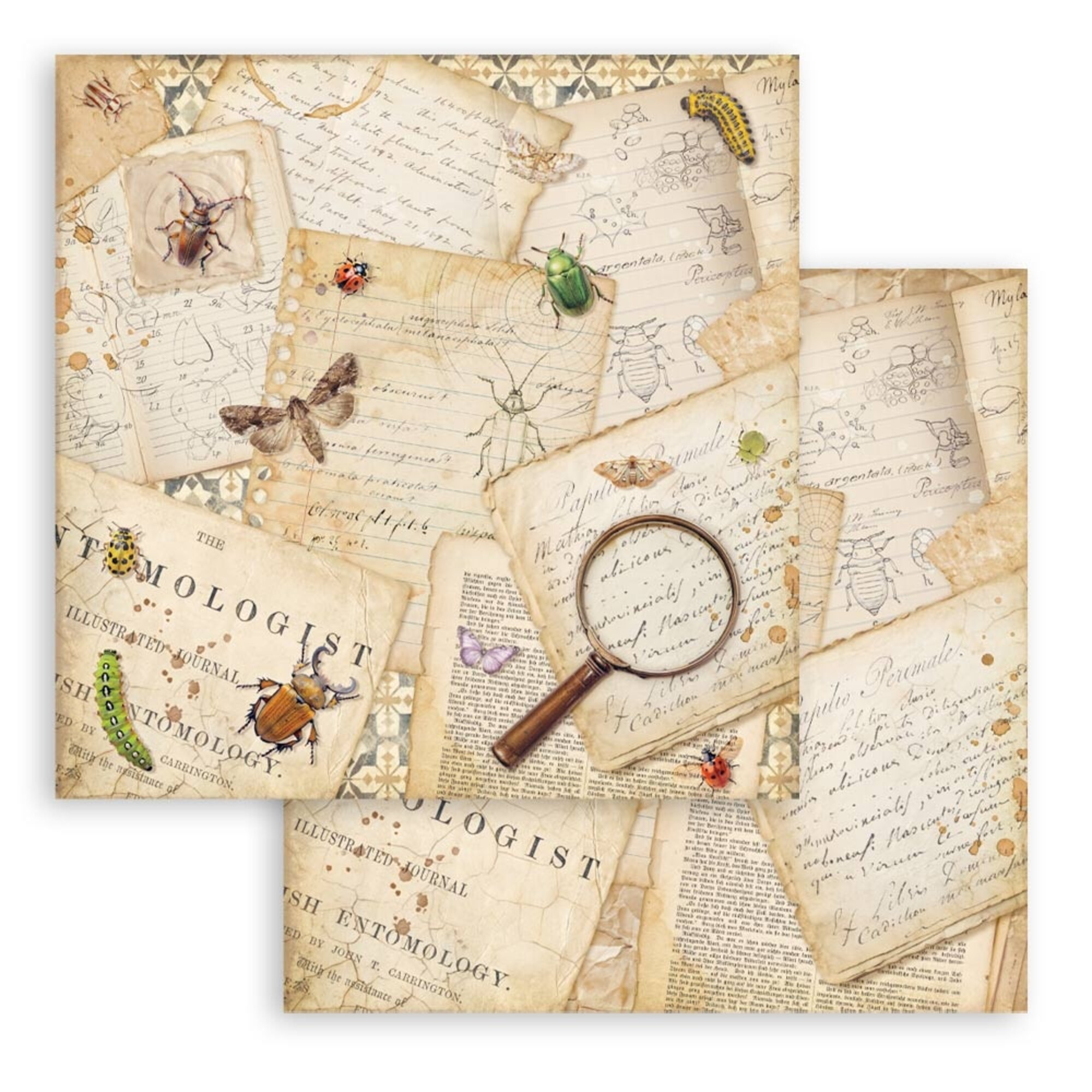 Stamperia – All Around paperilajitelma 30 x 30 cm - Image 4