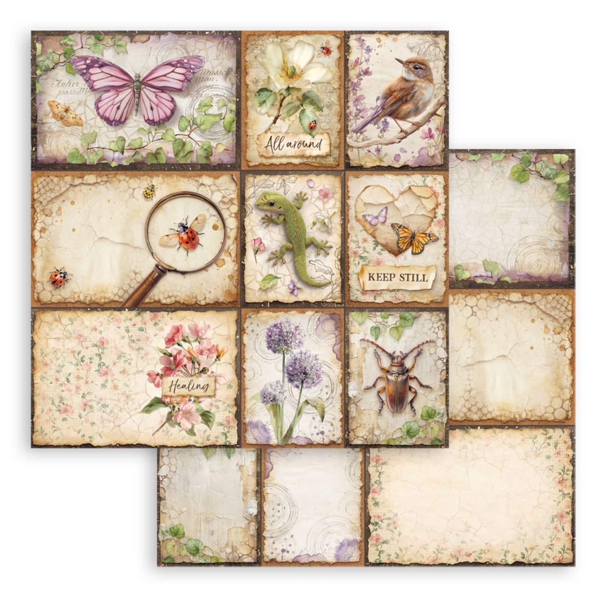 Stamperia – All Around paperilajitelma 30 x 30 cm - Image 11